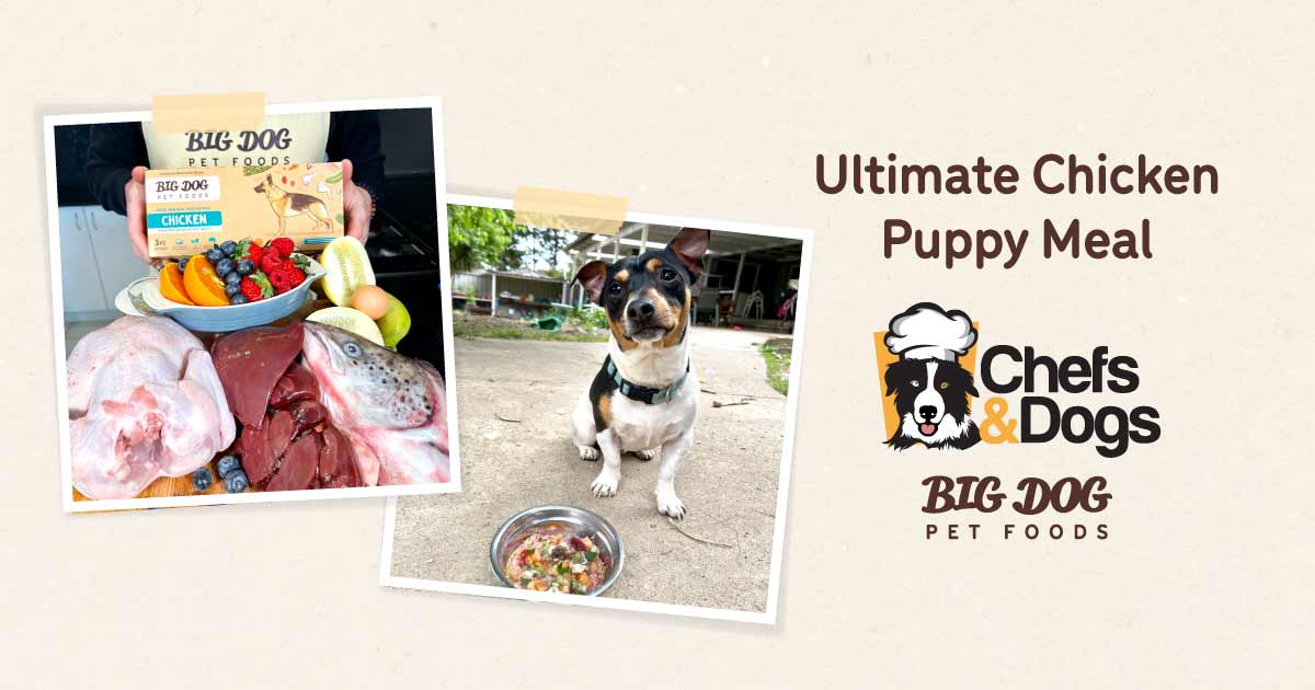Ultimate Chicken Puppy Meal Guides Big Dog Pet Foods